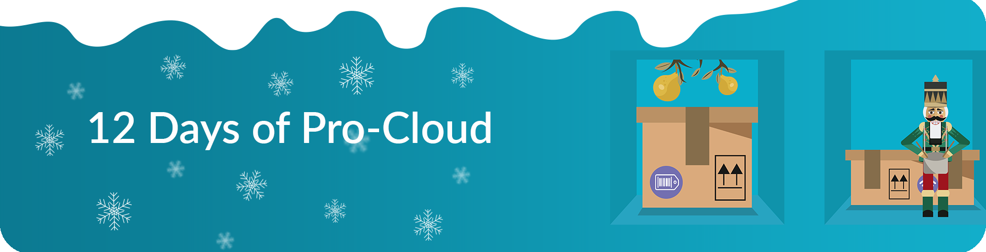 12 days of pro-cloud banner